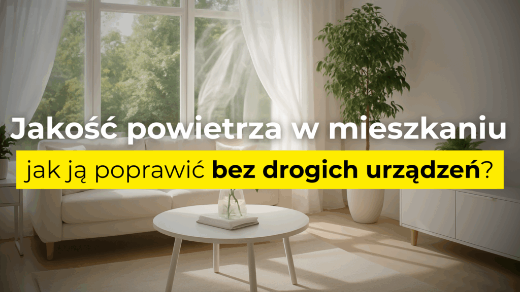 Jak poprawić jakość powietrza w domu bez drogich urządzeń